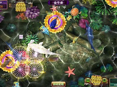 靠谱客服十代星力